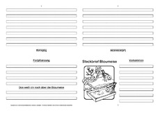 Blaumeise-Faltbuch-vierseitig.pdf